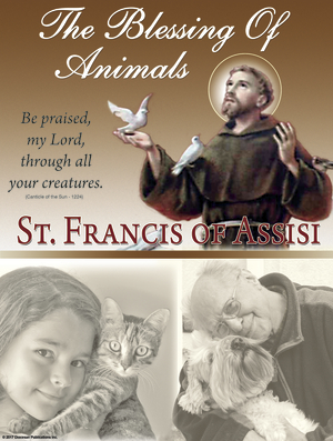 St Francis 2017 F