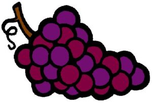Grapes-Vine_3