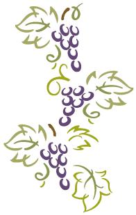 Grapes-Vine_4
