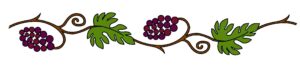 Grapes-Vine_5