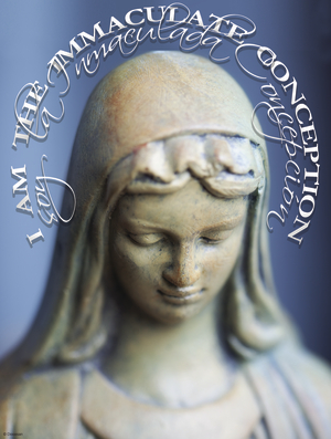 Immaculate Conception Statue Bilingual