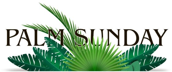Palm Sunday Header – Diocesan
