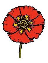 Veterans_Day_7