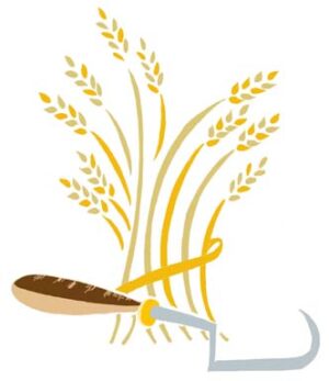 Wheat-Harvest_6