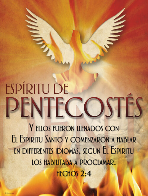 Pentecost Proclaim Cover SPN – Diocesan