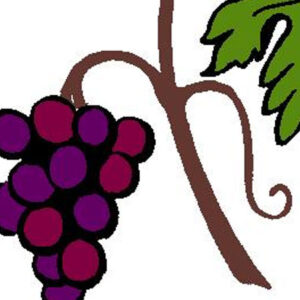 Grapes-Vine