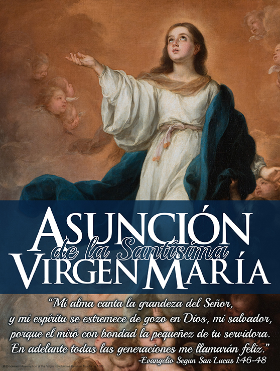 Assumption of Mary Grace Cover SPN – Diocesan