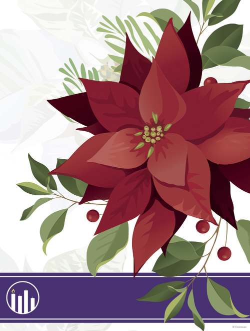Advent Poinsettia Week 1 Art