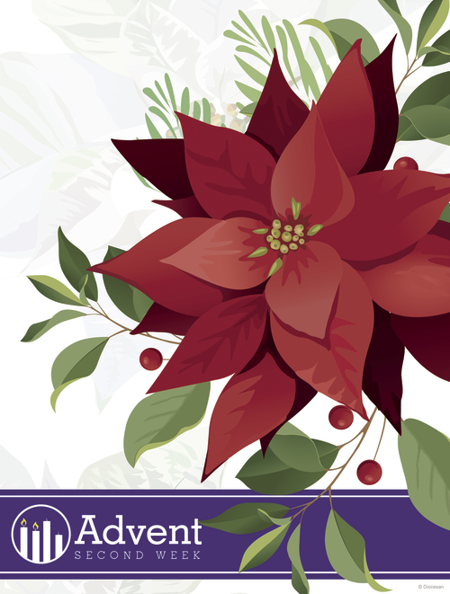 Advent Poinsettia Week 2