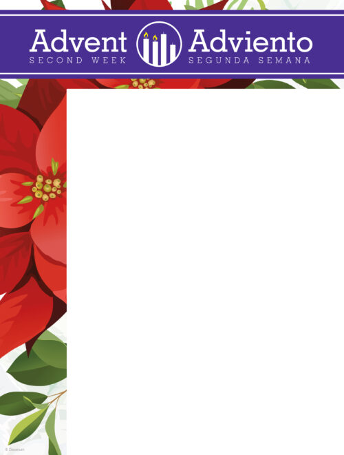 Advent Poinsettia Week 2 Bilingual Wrapper