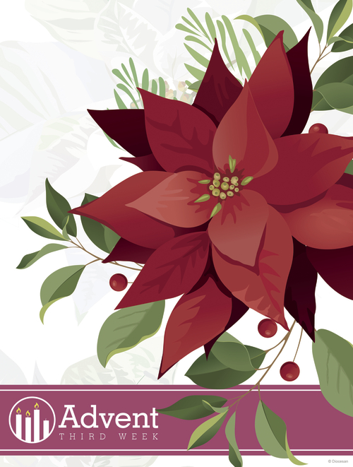 Advent Poinsettia Week 3