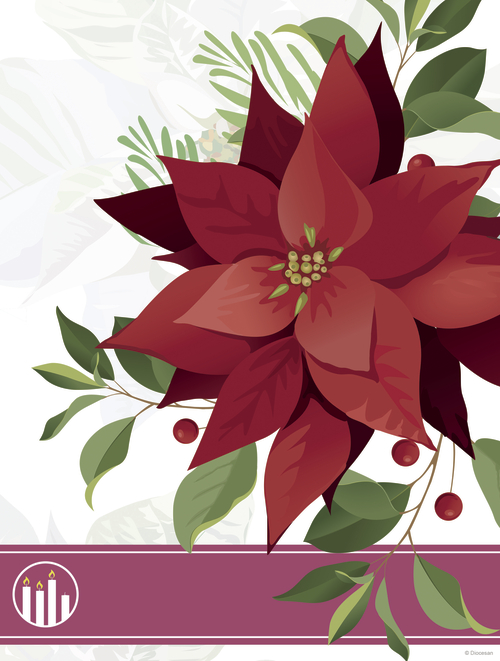 Advent Poinsettia Week 3 Art