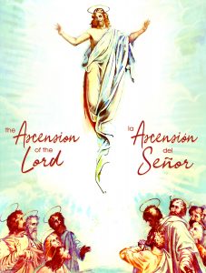 The Ascension Bilingual