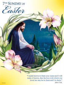 7th Sunday - Love One Another