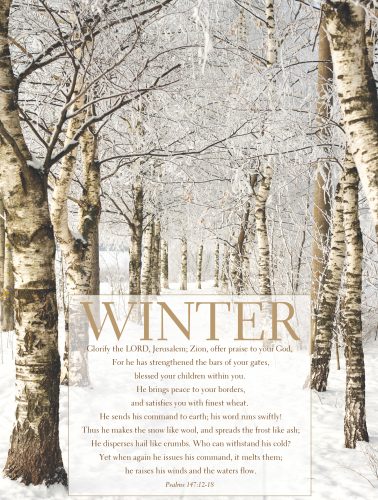 Winter Path - Psalms