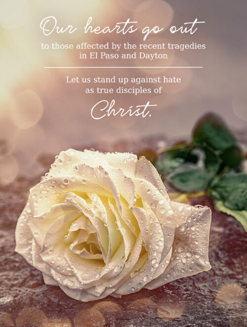 Dayton and El Paso Rose