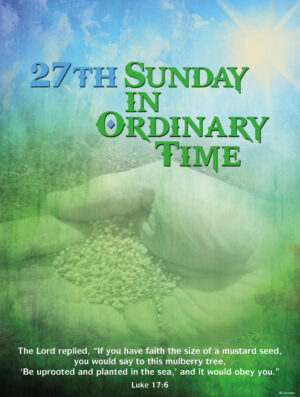 27th Sunday - Mustard Seed