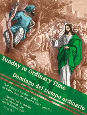 31st Sunday - Come Down Quickly - Bilingual