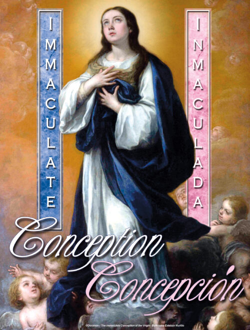 Immaculate Conception Cherubs - Bilingual