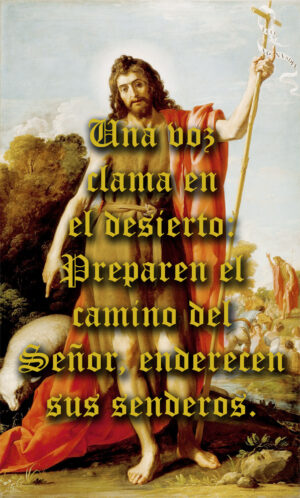 Advent - Week 2 - Gospel - Spanish