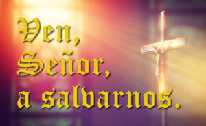 Advent - Week 3 - Response - Spanish