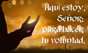 Ordinary Time - Week 2 - Response - Spanish
