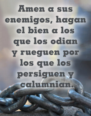 Ordinary Time - Week 7 - Gospel - Spanish