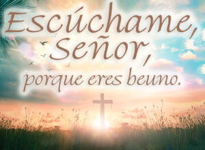 Ordinary Time - Week 12 - Response - Spanish