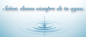 Ordinary Time - Week 15 - Response - Spanish