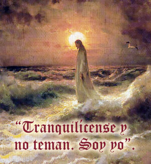 Ordinary Time - Week 19 - Gospel - Spanish
