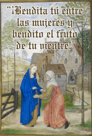 Assumption of the Blessed Virgin Mary - Gospel - Spanish
