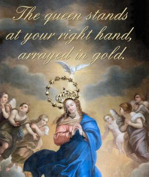 Assumption of the Blessed Virgin Mary - Response - English
