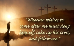 Ordinary Time - Week 22 - Gospel - English