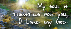 Ordinary Time - Week 22 - Response - English