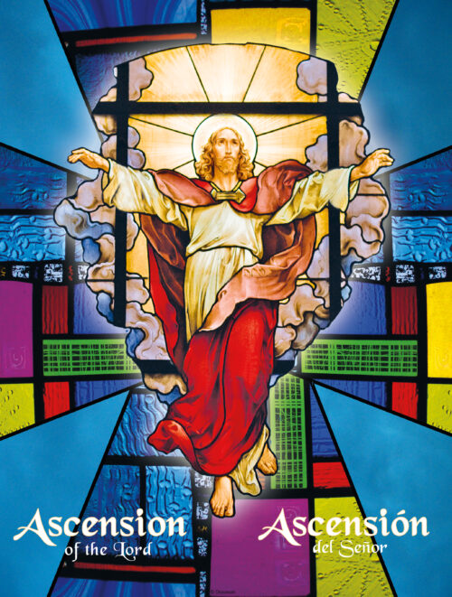 Ascension Stained Glass Bilingual