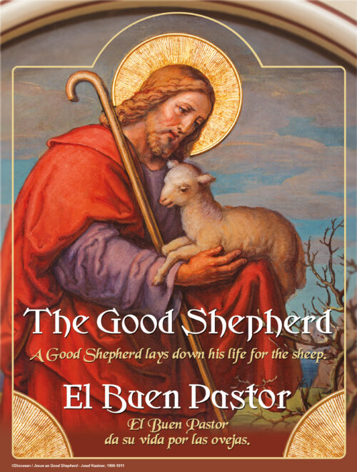 The Good Shepherd Bilingual