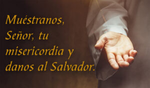 Second Sunday of Advent - Response - Spanish