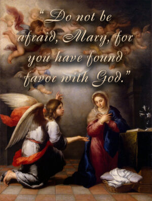 Our Lady of Guadalupe - Gospel - English
