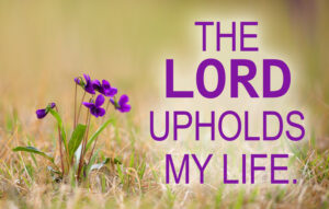 Ordinary Time - Week 25 - Response - English