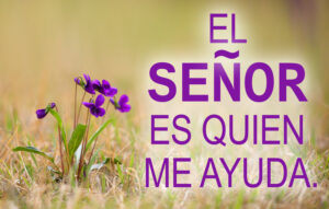Ordinary Time - Week 25 - Response - Spanish