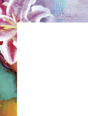 Colorful 4th Sunday of Easter Bilingual Wrapper