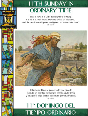 11th Sunday of Ordinary Time - Stained Glass - Bilingual