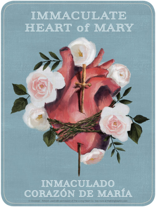 Immaculate Heart - The Living Art Co. - Bilingual