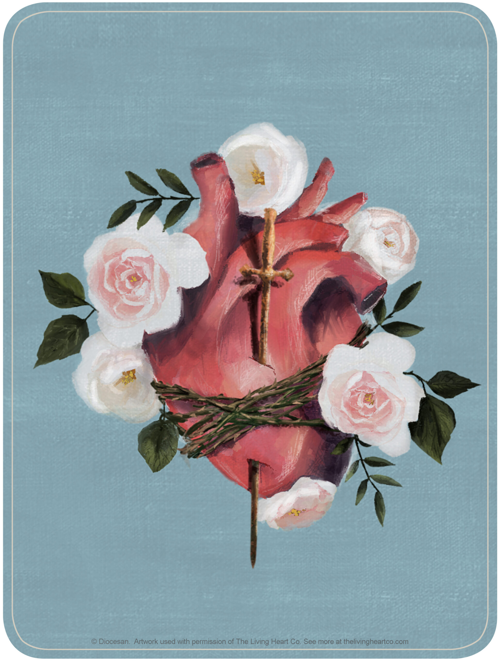 Immaculate Heart – The Living Art Co. – Artwork – Diocesan