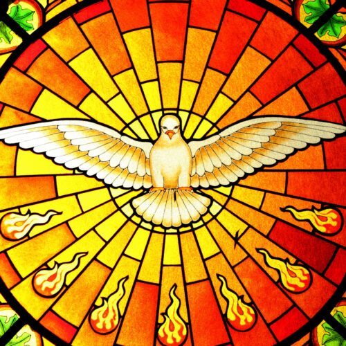 May The Angels Lead You Into Paradise – Diocesan