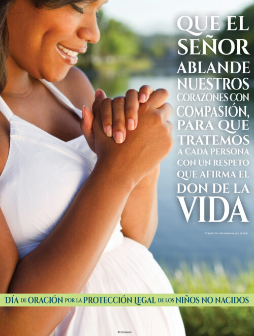 Prayer for Protection of the Unborn - Spanish