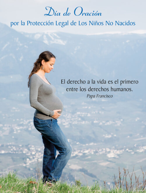 Legal Protection of Unborn - Spanish