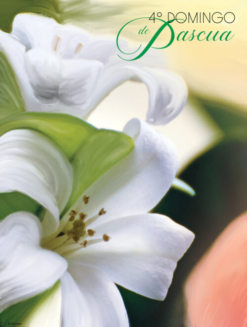 4th Sunday - Lily - Spanish