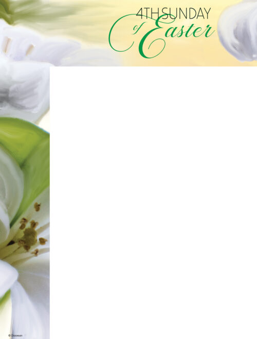 4th Sunday - Lily - Spanish Wrapper