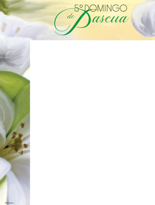 5th Sunday - Lily - Wrapper